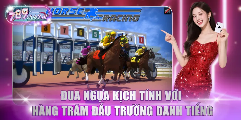Đua ngựa kịch tính với hàng trăm đấu trường danh tiếng