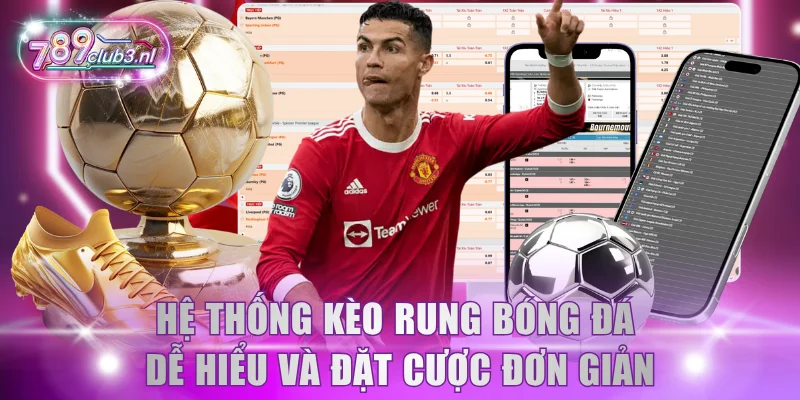 Hệ thống kèo rung bóng đá dễ hiểu và đặt cược đơn giản